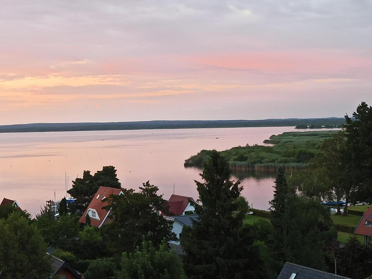 Appartamento Fraeulein Paula - Steinhude Wunstorf Esterno foto